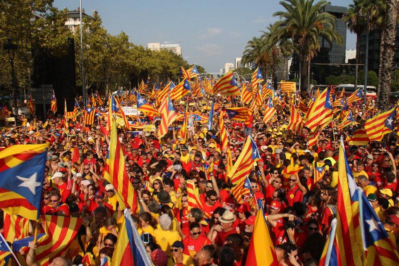 Pro-independence supporters fill Barcelona's Avinguda Diagonal on Catalonia's National Day, September 11, 2014 (by Maria Fernández) 